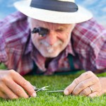 Rasenpflege im Frühjahr: Wann man den Rasen kalken muss