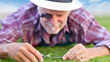 Rasenpflege im Frühjahr: Wann man den Rasen kalken muss
