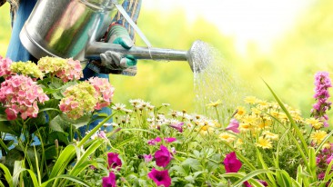 Bauernregeln für den Garten: Worauf man sich verlassen kann