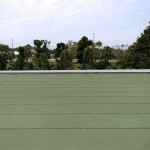 Dachpappe grün: Beschichte Versionen für die nahtlose Optik