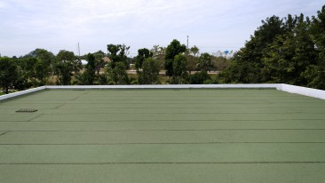 Dachpappe grün: Beschichte Versionen für die nahtlose Optik