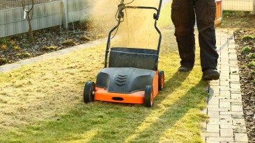 Top 5 Fehler beim Vertikutieren im Garten