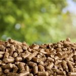 Heizen mit der Biomasseheizung - eine sparsame und umweltfreundliche Alternative zu Öl und Gas