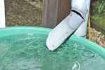 Naturnahe Regenwasser-Bewirtschaftung – Hintergründe, Gesetzeslage und hilfreiche Maßnahmen