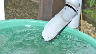 Naturnahe Regenwasser-Bewirtschaftung – Hintergründe, Gesetzeslage und hilfreiche Maßnahmen