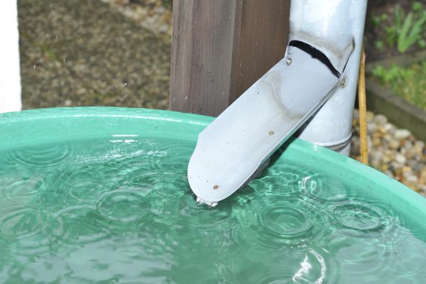 Naturnahe Regenwasserbewirtschaftung - Hintergründe, Gesetzeslage und hilfreiche Maßnahmen