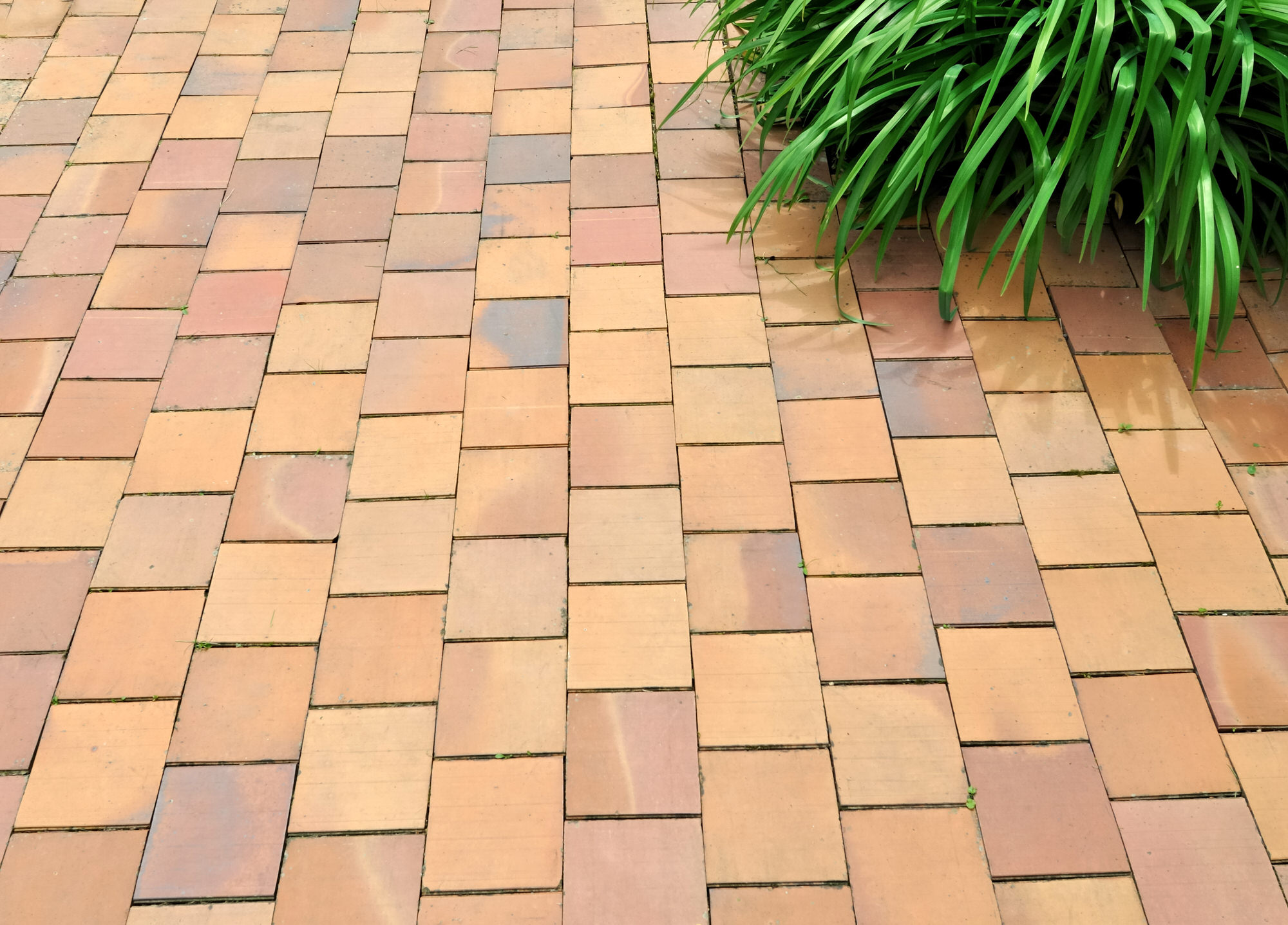 Garten Fliesen Versiegeln