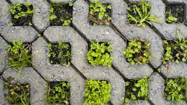 Betonsteine im Garten