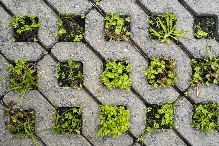 Betonsteine im Garten