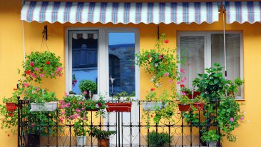 Sonnenschutz auf dem Balkon: Klassisch mit Balkonschirm oder natürlich mit Pflanzen?