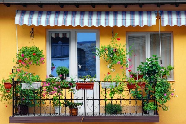 Sonnenschutz auf dem Balkon: Klassisch mit Balkonschirm oder natürlich mit Pflanzen?