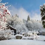 10 Versäumnisse, die dem Garten im Winter schaden können