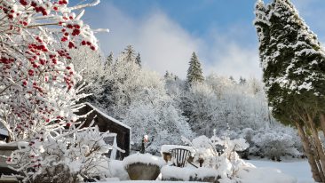 10 Versäumnisse, die dem Garten im Winter schaden können