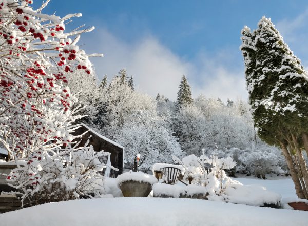 10 Versäumnisse, die dem Garten im Winter schaden können