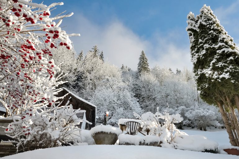 10 Versäumnisse, die dem Garten im Winter schaden können