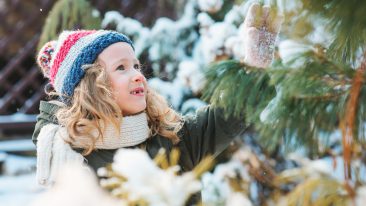 10 Winter-Versäumnisse, die dem Garten schaden