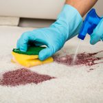Teppich reinigen: Tipps, Tricks und Geheimnisse aus der Hausmittelabteilung