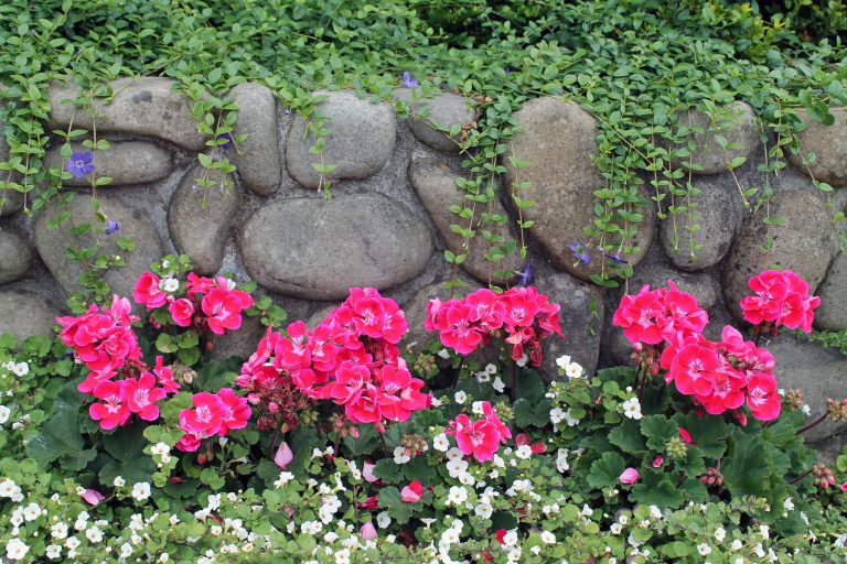 gartenmauer-kosten