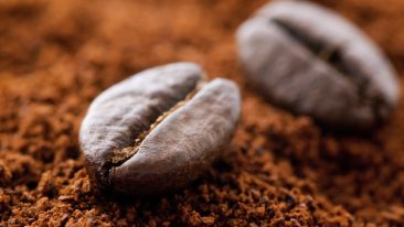 Kaffeesatz als Dünger verwenden – kostenfrei & nährstoffreich