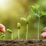 Effizient düngen – Die Grundvoraussetzung für gesunde Pflanzen und einen hohen Ertrag