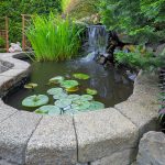 Ein Gartenteich-Wasserfall: So bereichern Sie Ihre Oase!