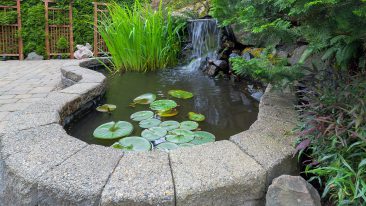 Ein Gartenteich-Wasserfall: So bereichern Sie Ihre Oase!