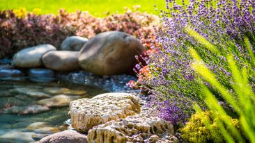 Gartenteich Anlegen Die Kosten Heimhelden