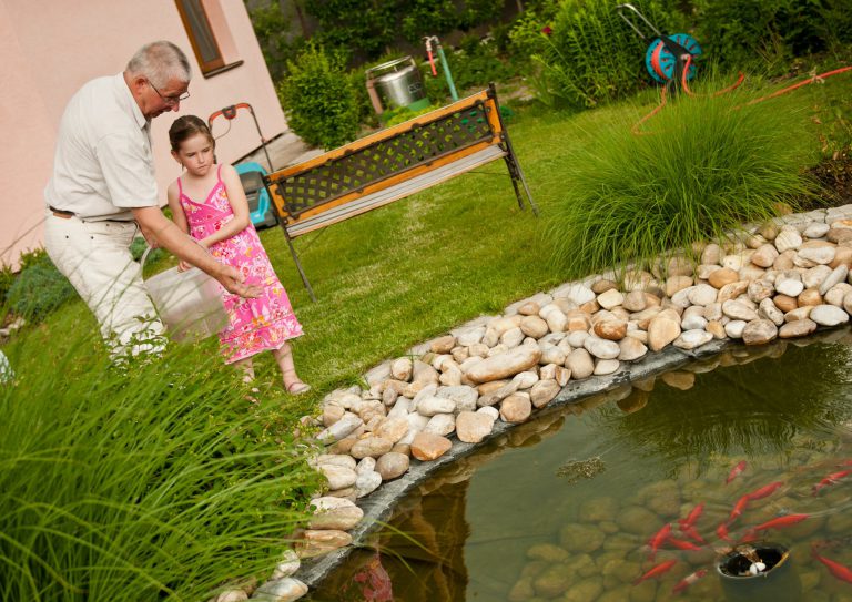 Den Gartenteich kindersicher machen