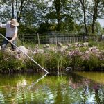 Gartenteich reinigen – darauf sollten Sie achten