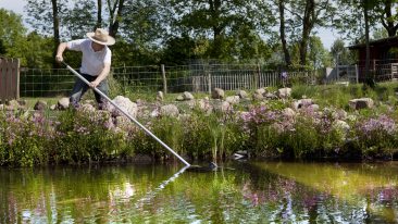 Gartenteich reinigen – darauf sollten Sie achten