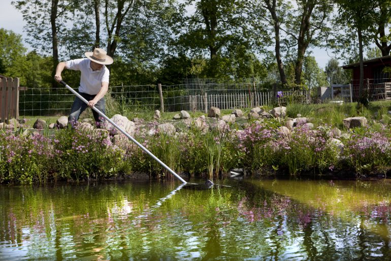 Gartenteich reinigen – darauf sollten Sie achten