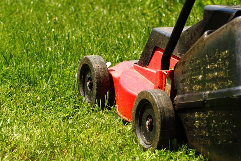 Rasenmähen am Samstag: Was Sie dazu wissen sollten