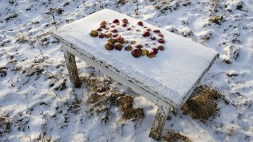 Rüsten Sie jetzt Ihren Garten für die bevorstehende Kälte