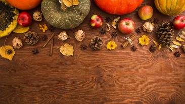 Herbst-Deko aus dem Garten: Das gibt die Jahreszeit her