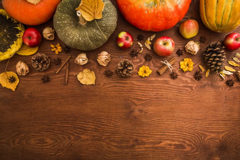 Herbst-Deko aus dem Garten: Das gibt die Jahreszeit her