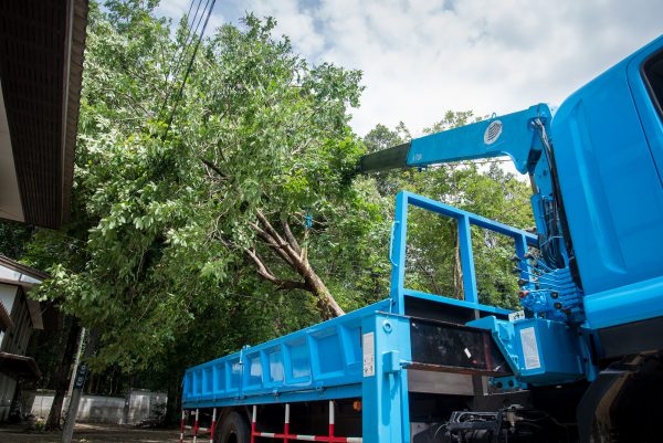Orkantief Friederike Standfestigkeit