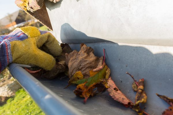 Frühjahrs-Check für Hausbesitzer