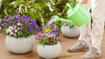 Gartenarbeiten im April: Was ist jetzt zu tun?