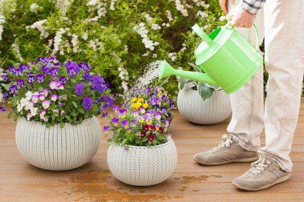 Gartenarbeiten im April: Was ist jetzt zu tun?