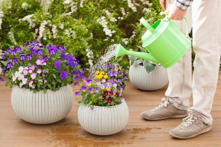 Gartenarbeiten im April: Was ist jetzt zu tun?