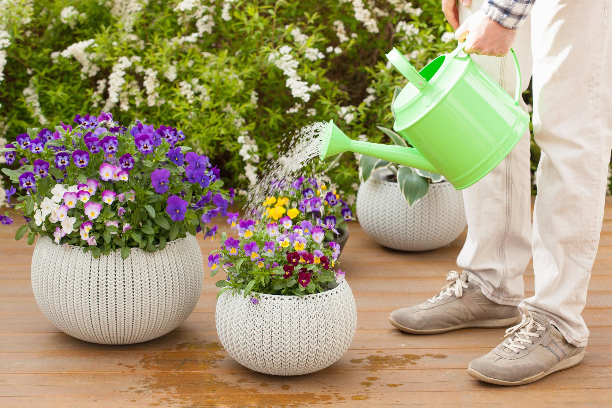 Gartenarbeit im April