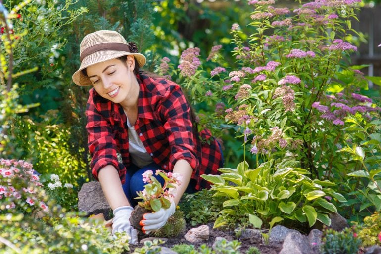 Gartenpflanzen für den heimischen Garten