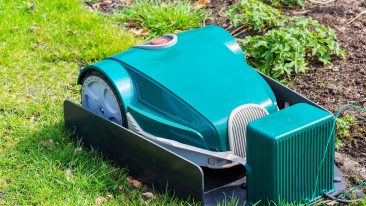 Mähroboter: Eine Gefahr für tierische Gartenbewohner?