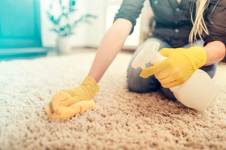 Teppich selber reinigen