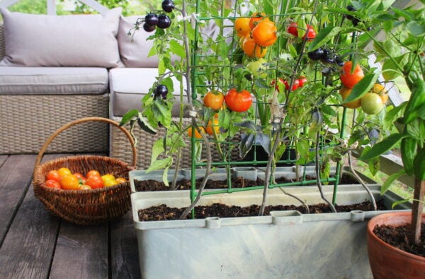 Urban Gardening 4 Möglichkeiten zum Gärtnern in der Großstadt