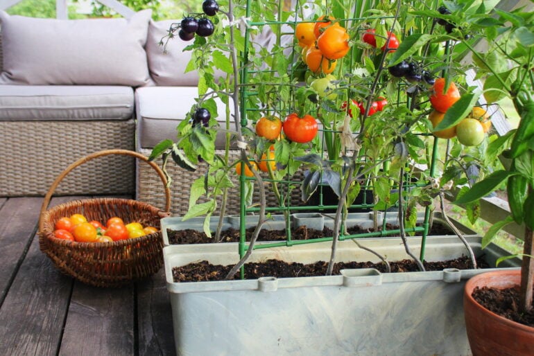 Urban Gardening: 4 Möglichkeiten zum Gärtnern in der Großstadt