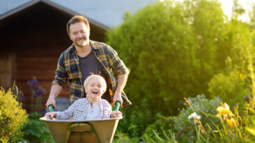 Schubkarre als Arbeitserleichterung im Garten kaufen: Auf diese Aspekte sollten Sie achten