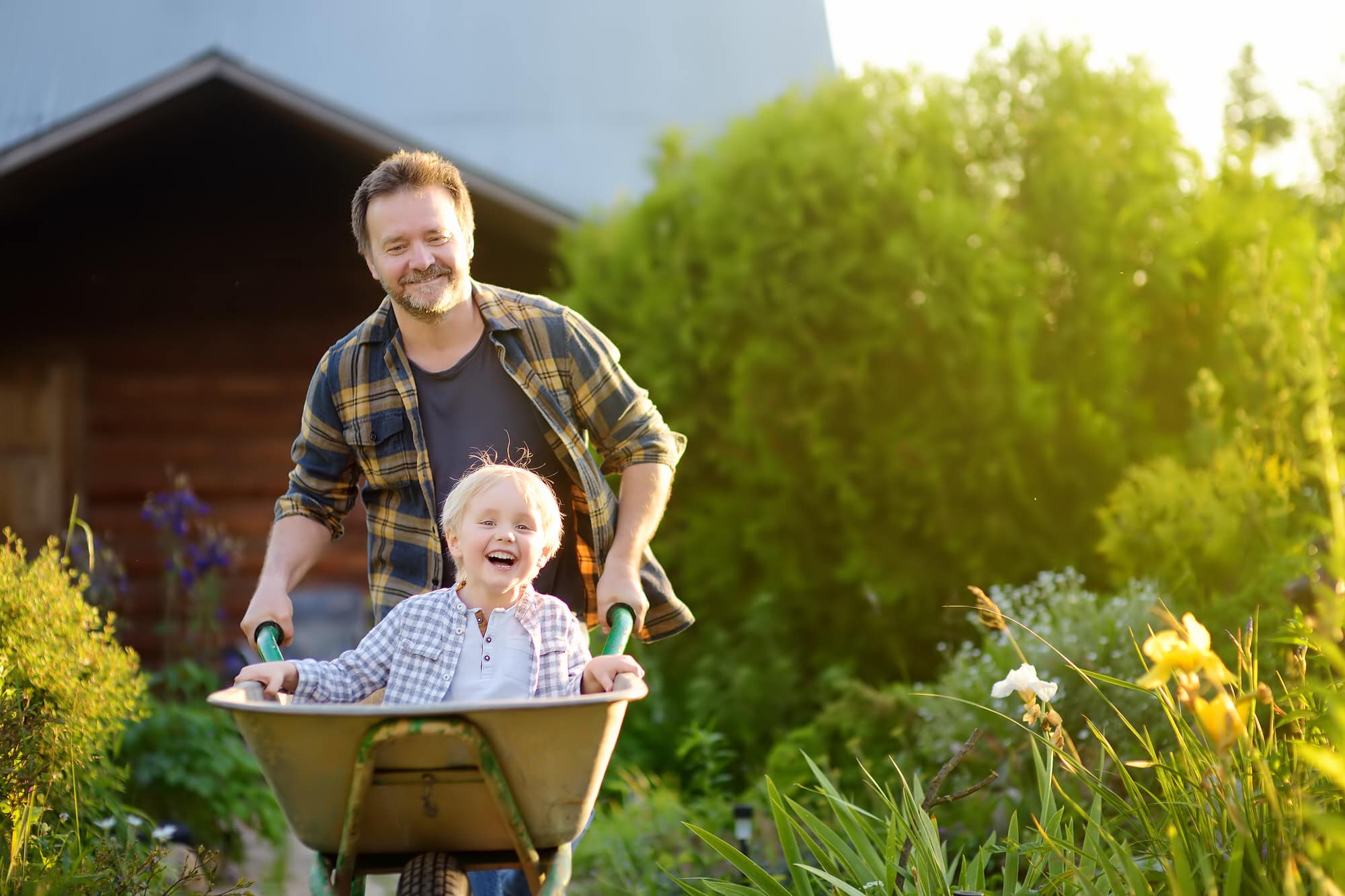 Schubkarre als Arbeitserleichterung im Garten kaufen Auf diese Aspekte