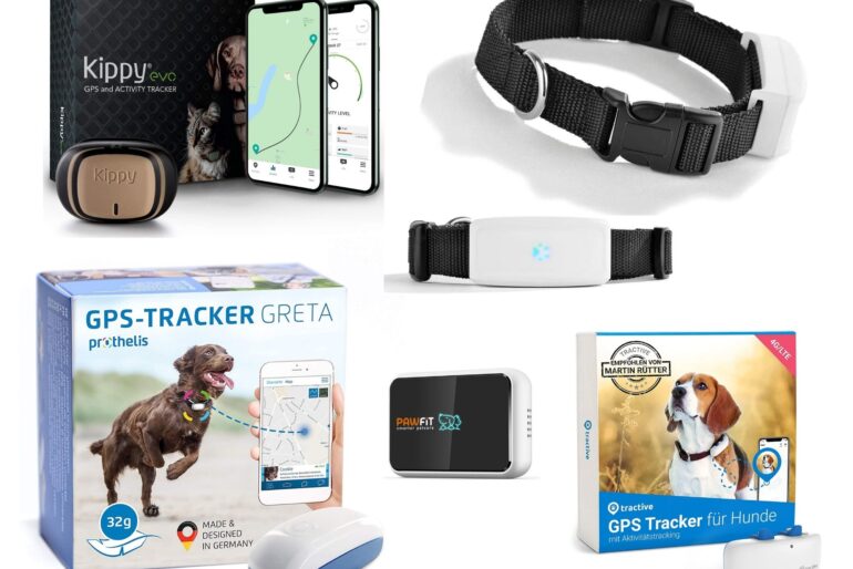 GPS-Tracker für Hunde