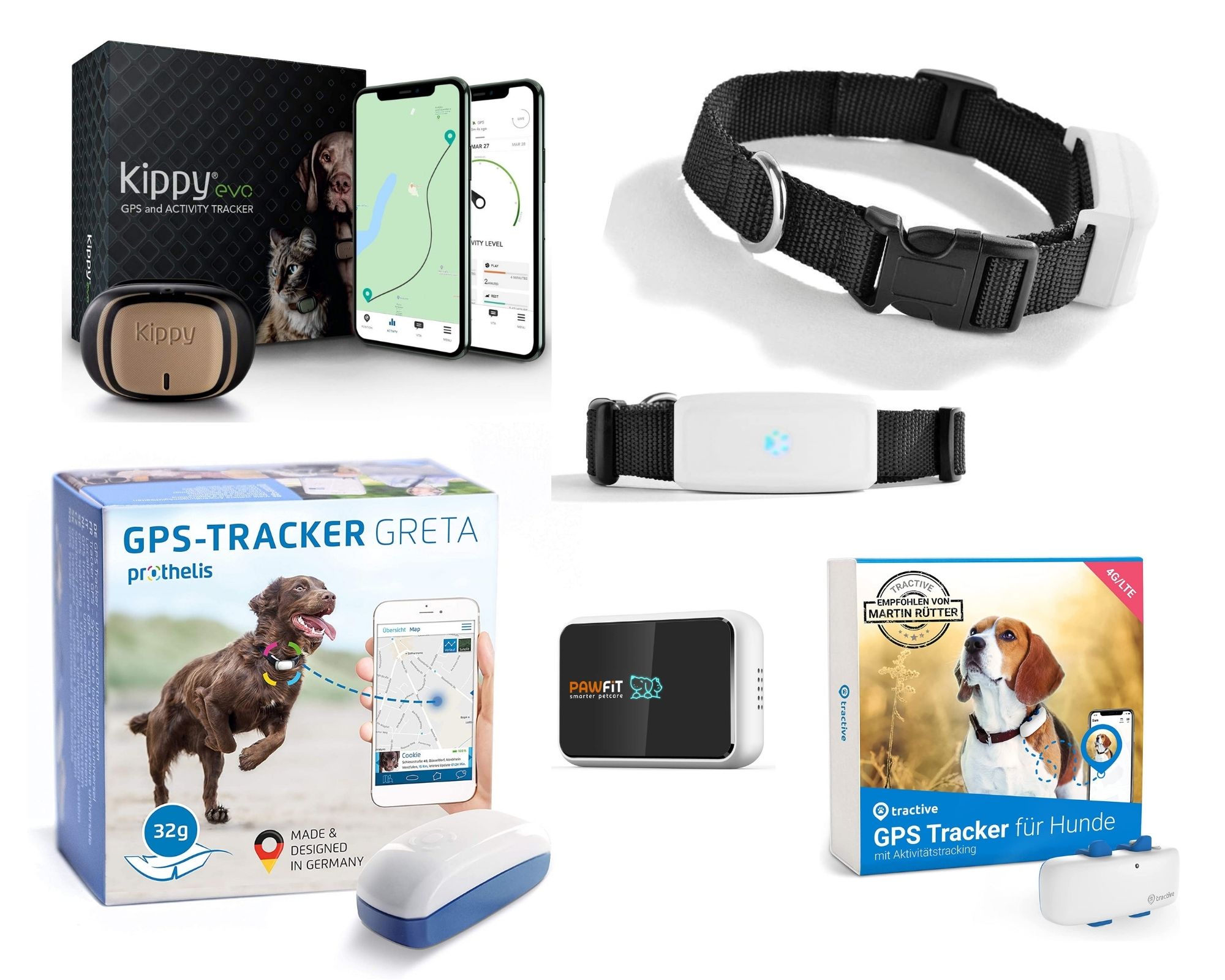 III▷ Die 10 besten GPS-Tracker für Hunde + (Juli 2023) - HeimHelden®